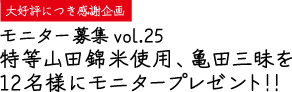 ˥罸vol.25